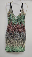 Siri Dress