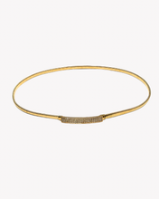 Load image into Gallery viewer, Gold Elastic Belt
