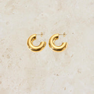 Gold S/S Chunky Hoop