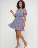 Mandy Dress (Plus)