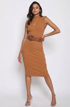 Load image into Gallery viewer, Turtle Neck Dress
