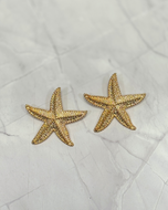 Starfish Earrings