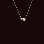 Silver/Gold S/S Necklace