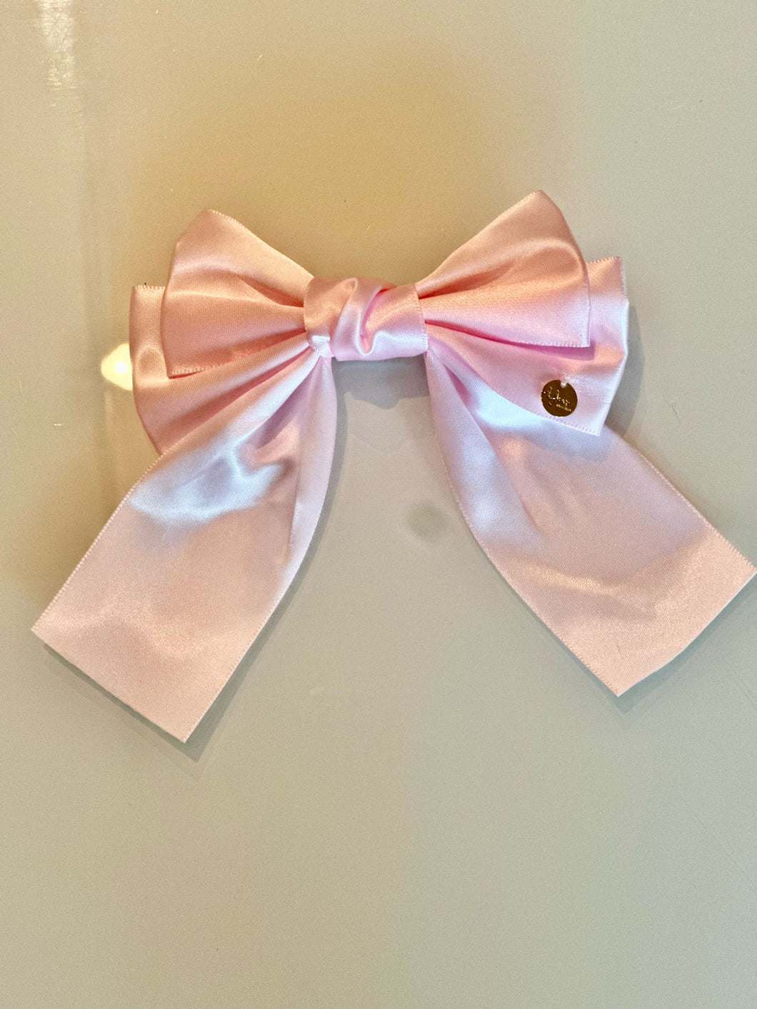 Ribbon Knot Small Accessories