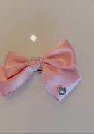 Hair Clip Bow