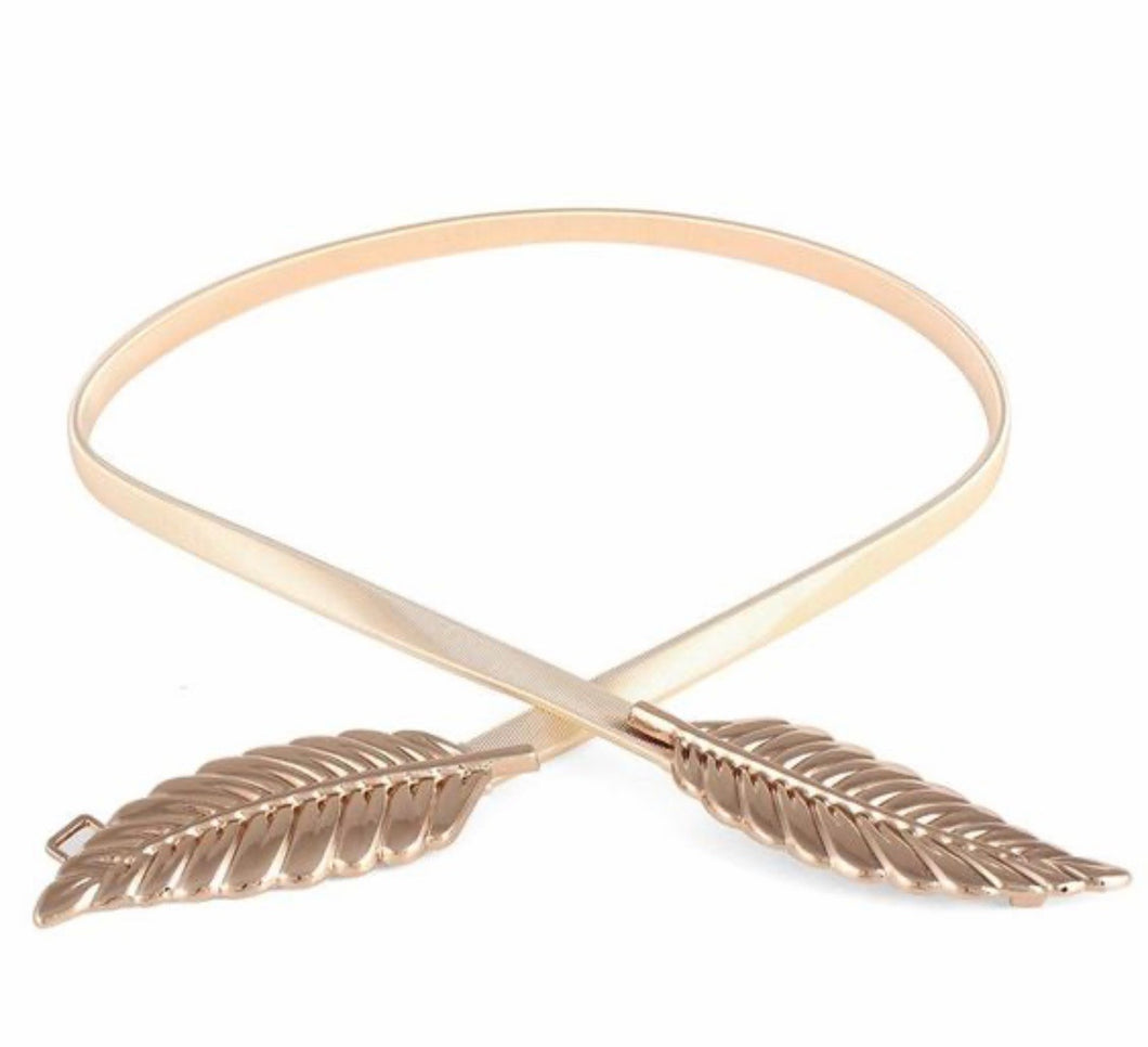 Elastic Sheet Belt